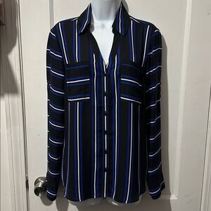 Express Blue and Black Striped Shirt